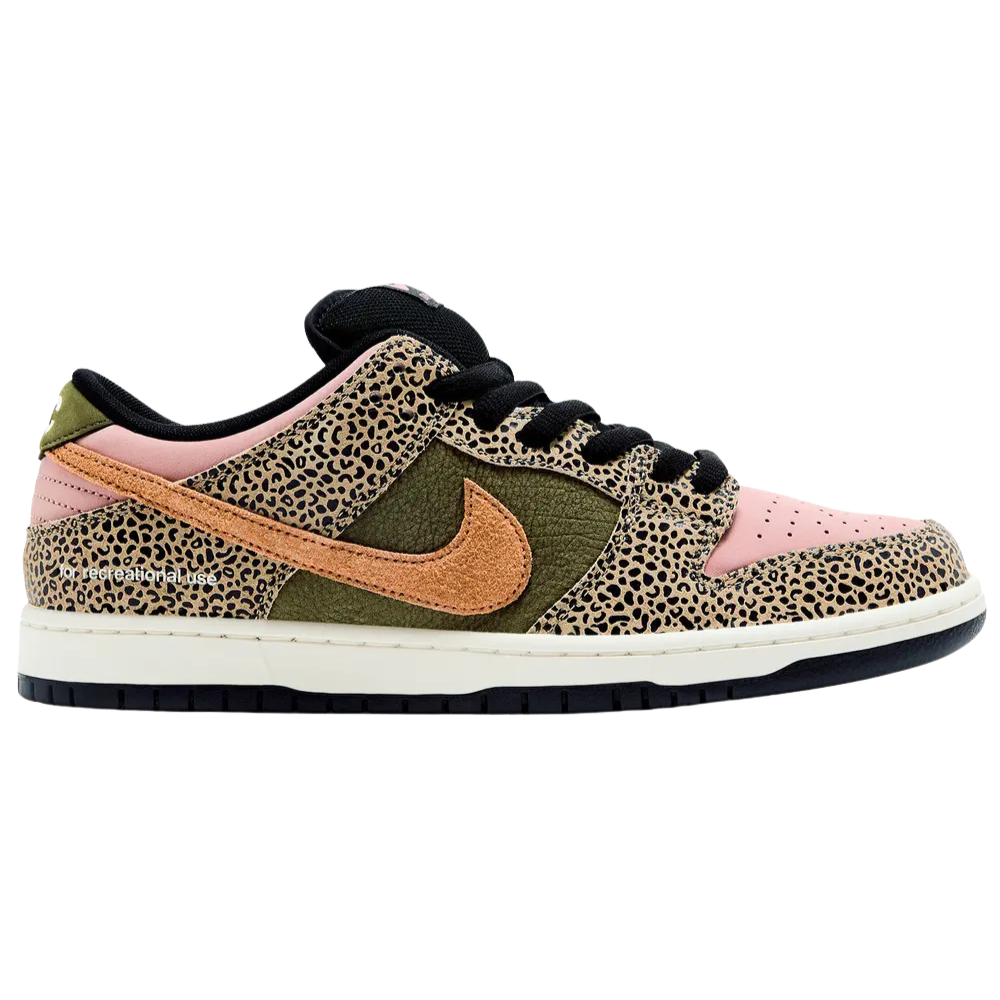 Nike SB Dunk Low Arts-Rec
