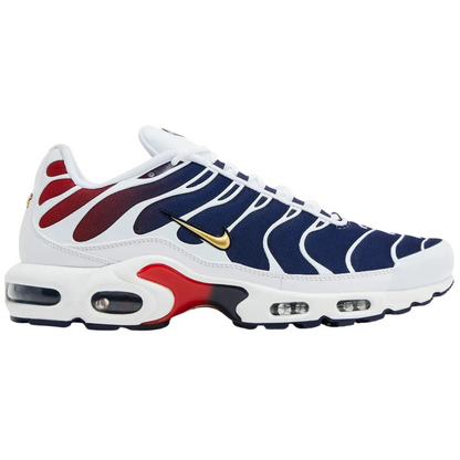 Nike Air Max Plus PSG