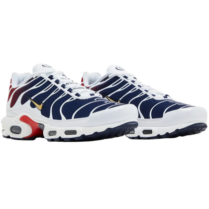 Nike Air Max Plus PSG
