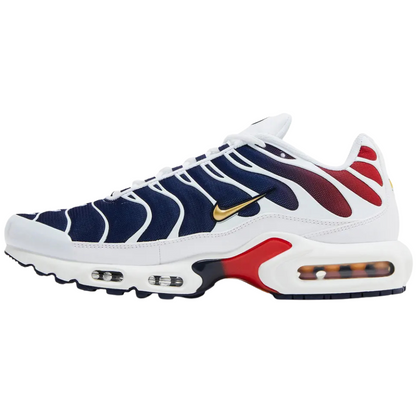 Nike Air Max Plus PSG