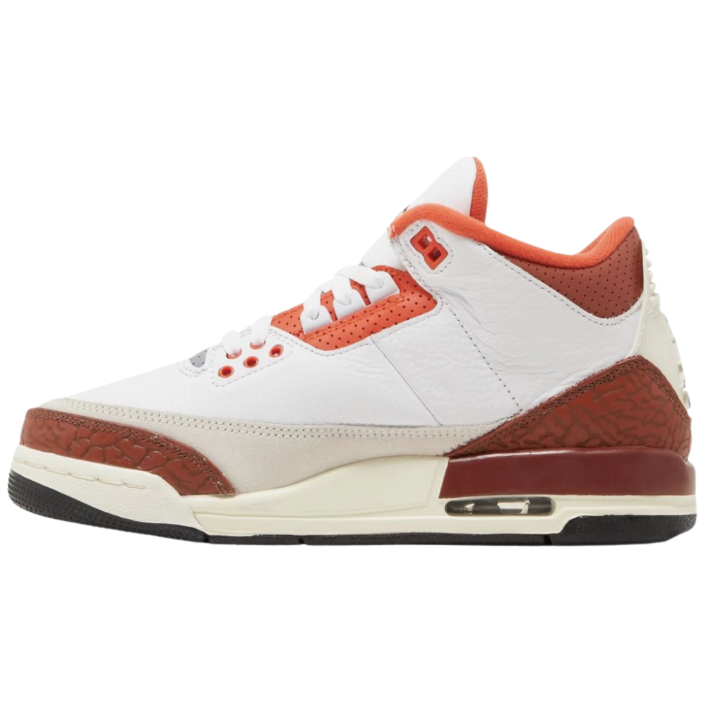 Jordan 3 Retro SE Dunk on Mars (GS)