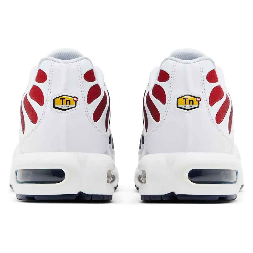 Nike Air Max Plus PSG