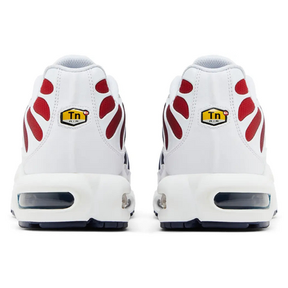 Nike Air Max Plus PSG
