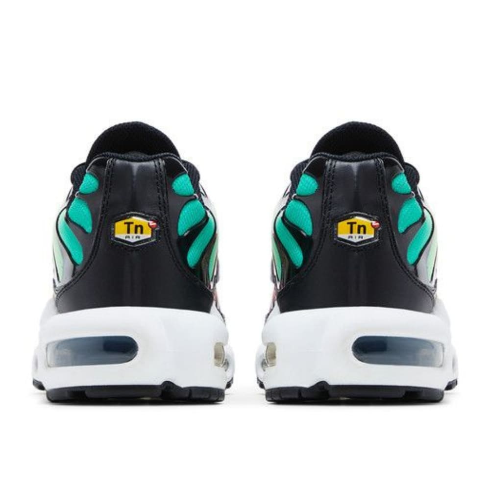 Nike Air Max Plus Rainbow