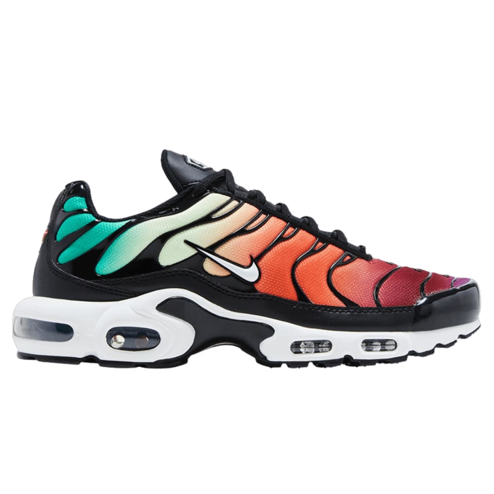 Nike Air Max Plus Rainbow