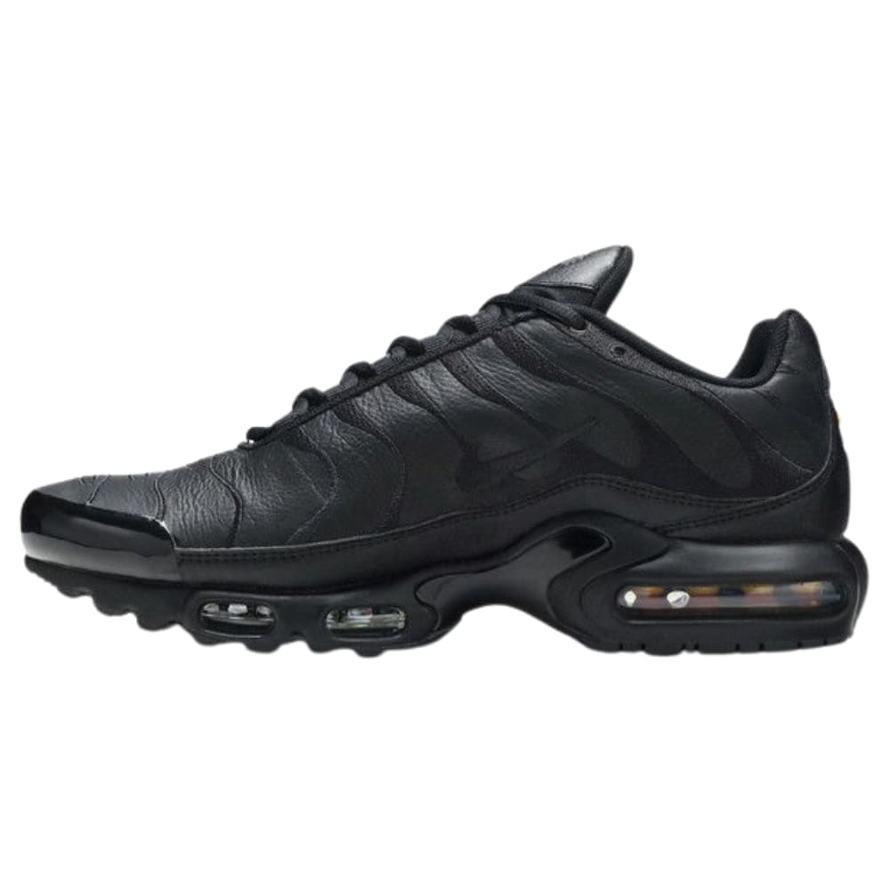Nike Air Max Plus Triple Black Leather