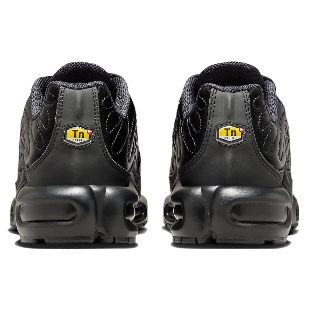 Nike Air Max Plus Black Anthracite Sail