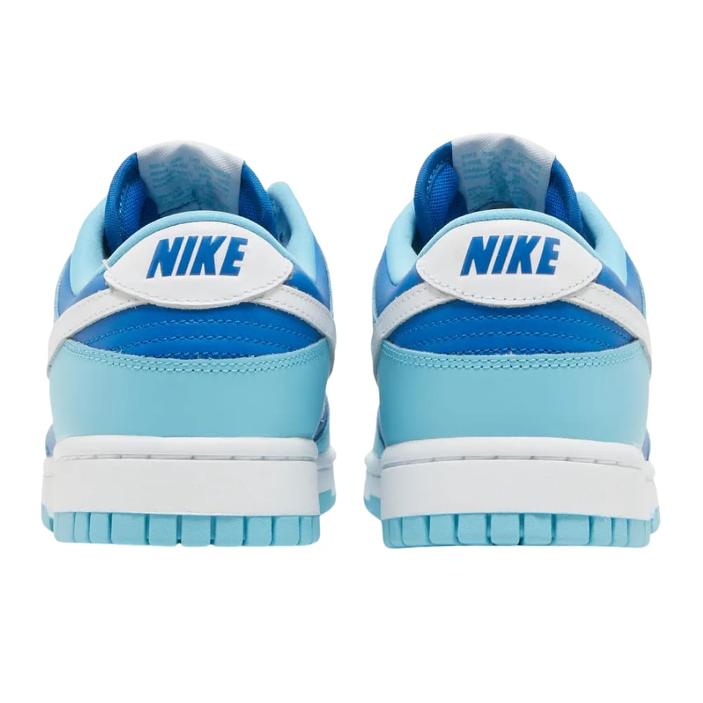 Nike Dunk Low Retro QS Argon (2022)