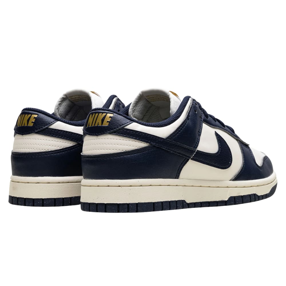 Nike Dunk Low Next Nature Olympic