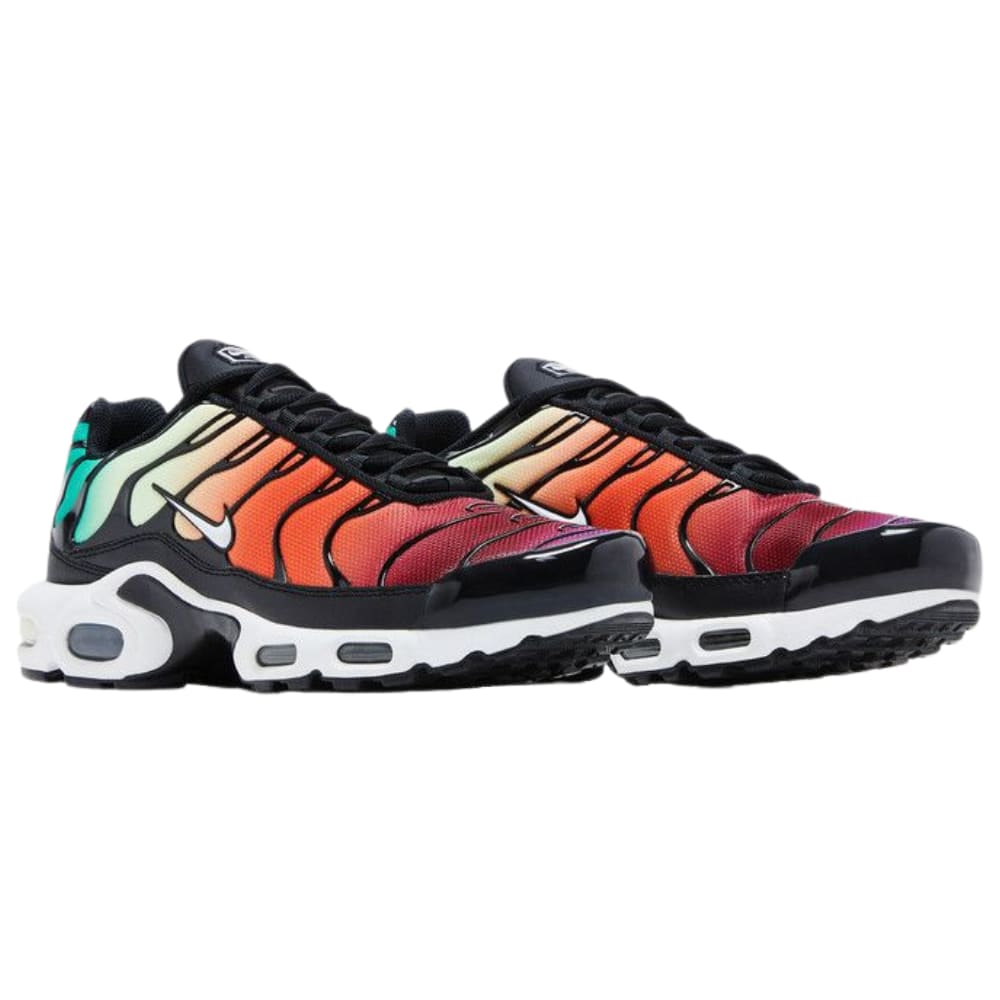 Nike Air Max Plus Rainbow